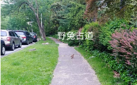 1598180903738695.jpg 稿定设计导出-20200823-181703.jpg