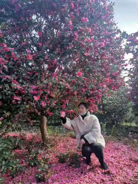 1607344099829914.jpg 微信图片_20201207194906.jpg