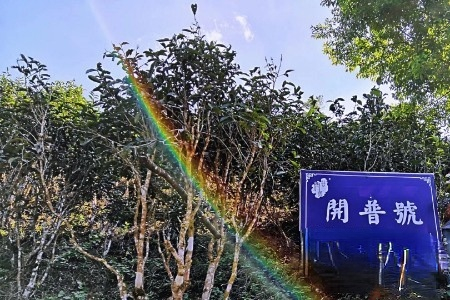 1629587776155411.jpg 未命名图片.jpg