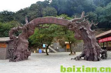 1638568729334854.jpg 6、哀牢山原始森林莽林滚滚,一片洪荒.jpg