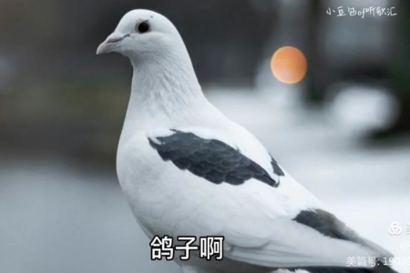 1643206176751080.jpg 微信图片_20220126130427.jpg