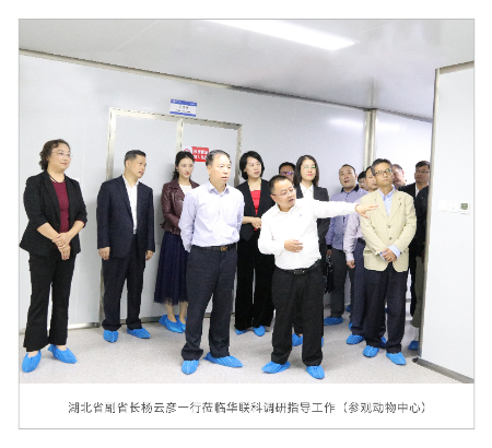 1669278634500780.jpg 湖北省副省长杨云彦一行莅临华联科.jpg