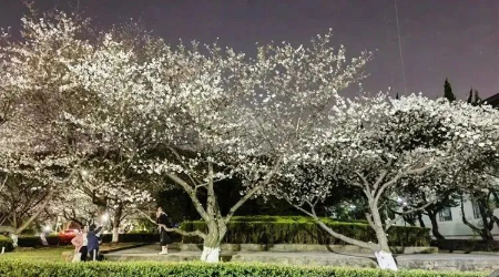 微信图片_20230318073955.jpg