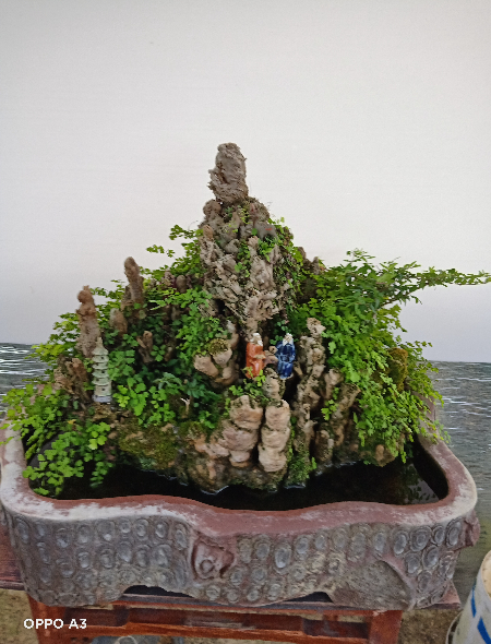 1686879937970213.jpg 微信图片_20230613191242.jpg