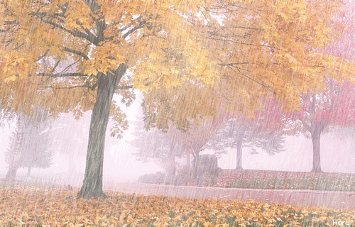 1725767332530512.gif 144832329298370598.gif
