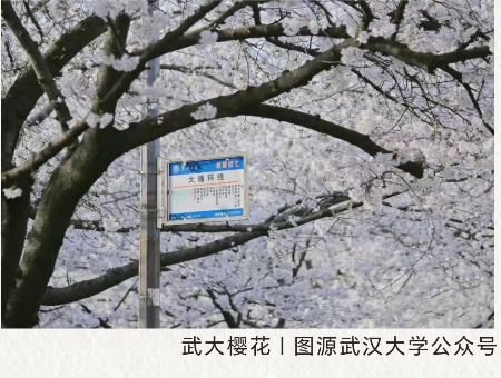 1743059315865562.jpg 微信图片_20250327095457.jpg