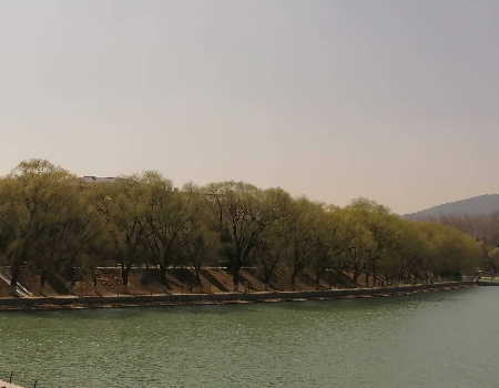 1743060331314828.jpg 微信图片_20250327072509.jpg