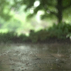 1751883426824070.gif t015cf69640a70c7f1c.gif