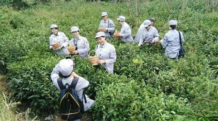 1773181619326612.jpg 微信图片_20260311060924_324_2.jpg