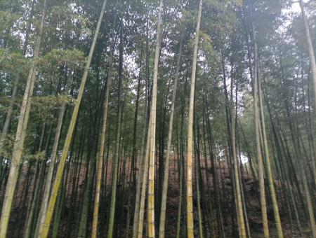 1773693126665003.jpg 微信图片_20260309100420_233_677.jpg