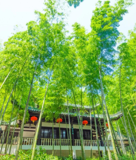 1773693146186633.jpg 微信图片_20260309100441_234_677.jpg