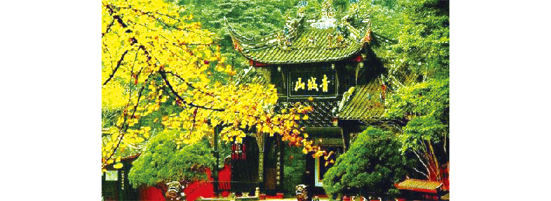 1507612607617644.jpg 83871_995096副本.jpg