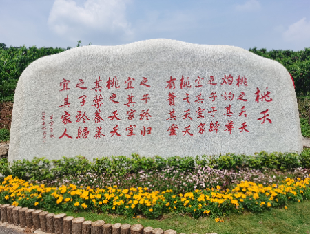 1693382378611216.jpg 14.jpg