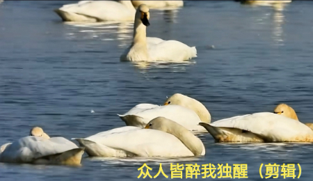 1742094454689389.jpg 微信图片_20250316063217.jpg