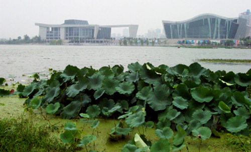 1530515196574974.jpg 图片2.jpg月湖.jpg