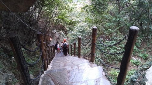1531773814183143.jpg 图片10.jpg+10.jpg