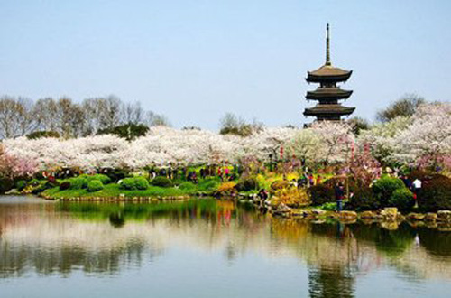 1540468891778238.jpg 东湖梅岭.jpg