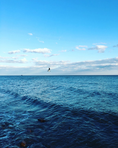 1553849818786669.jpg 大海.jpg+.jpg