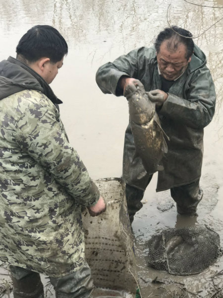 1585449386959376.jpg 捉鱼.jpg