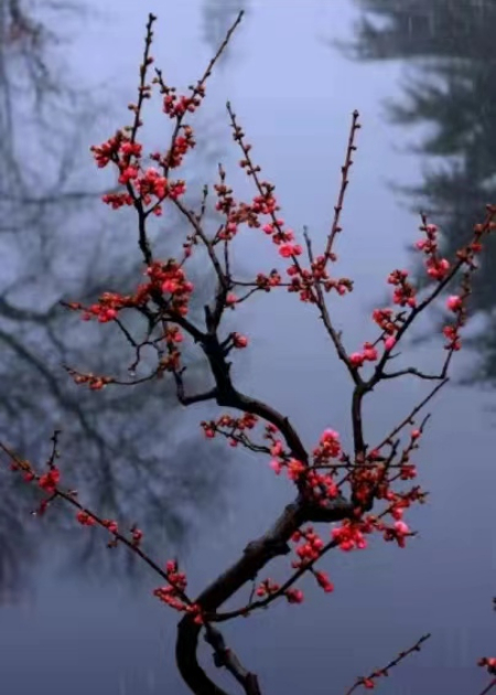 1613625642803617.jpg 微信图片_20210209213140.jpg