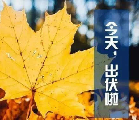 1629446893908689.jpg 未命名图片.jpg
