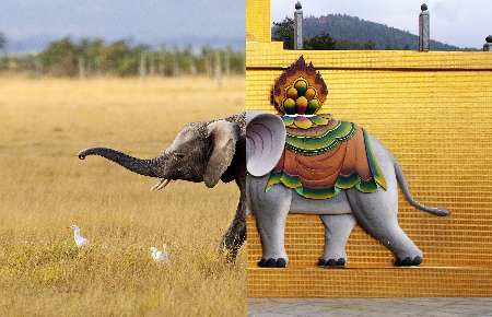1637934432344307.jpg 未命名图片.jpg