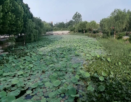1657267888879236.jpg 微信图片_20220708155658.jpg