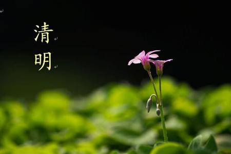 1680431860418693.jpg t01da5c7c01261f37ae.jpg