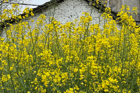 1685624994792721.jpg 微信图片_20230601202431.jpg