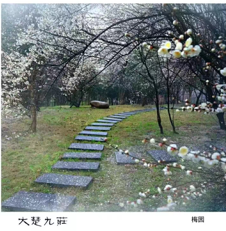 1693918931576633.jpg 微信图片_20230905202242.jpg