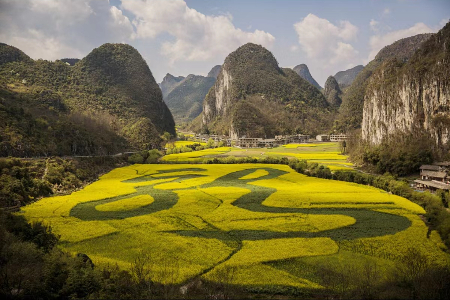 1715339898444742.jpg 微信图片_20240510183445.jpg