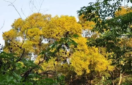 1715917026908655.jpg 微信图片_20240515111300.jpg