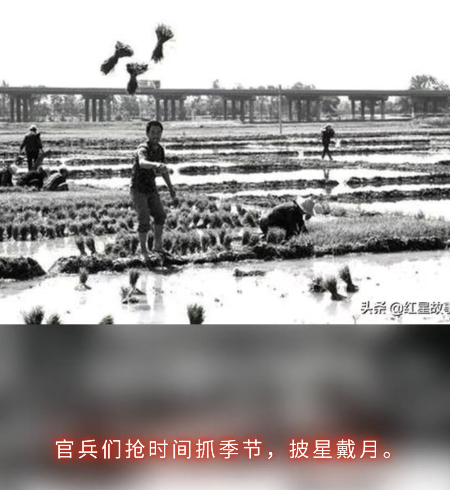 1722574755516069.jpg 微信图片_20240802124854.jpg