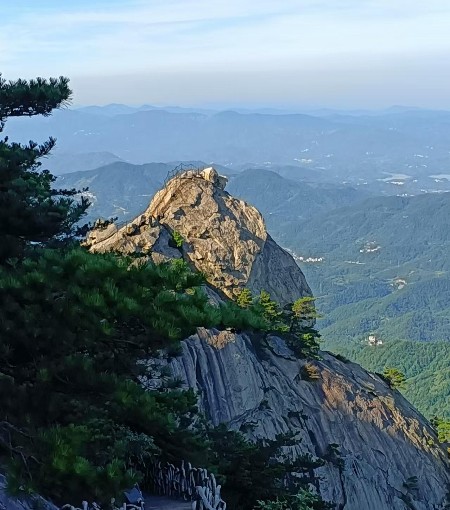 1723258168941190.jpg 图片2(1)(4).jpg