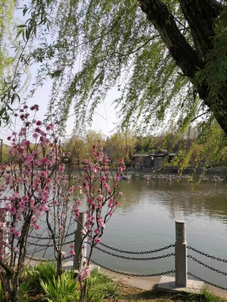 1744601761307843.jpg 微信图片_20250414062032.jpg