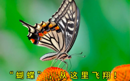 1744796337211052.jpg 微信图片_20250416134147.jpg