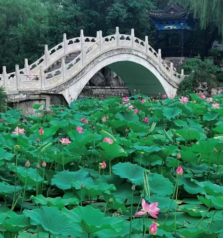 1750824675301739.jpg 微信图片_20250625115703.jpg