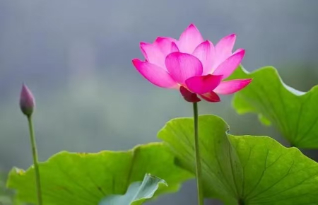 1755411792734704.jpg 微信图片_20250817141024.jpg