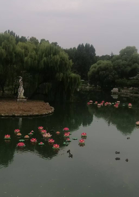 1757250215378602.jpg 微信图片_20250907203746.jpg