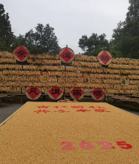 1759099980995322.jpg 微信图片_20250929064212.jpg