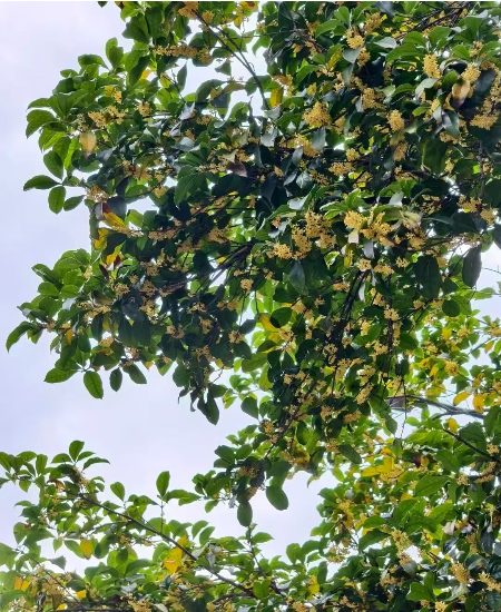 1760221874638741.jpg 微信图片_20251012060628.jpg
