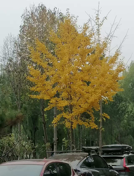 1762654137960166.jpg 微信图片_20251107161136_109_2267.jpg
