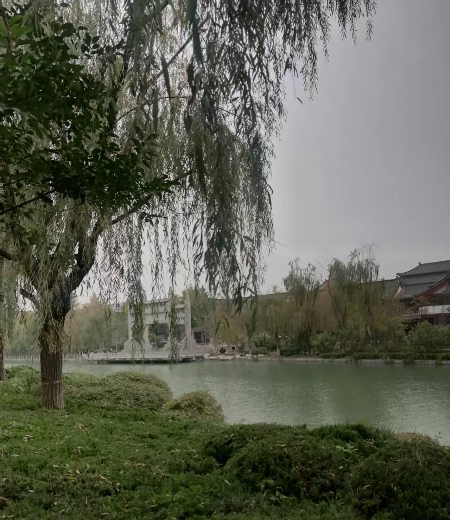 1762654158916897.jpg 微信图片_20251107152252_101_2267.jpg