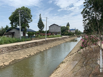 t01a3420b7043ee7428.jpg