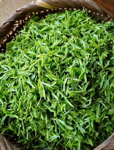 1773051494614202.jpg 0(1).jpg
