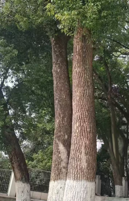 微信图片_20260312092706_331_2.jpg