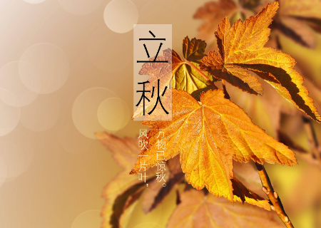 9be9b8e81321f96a5155c3d2a4909edf.jpg